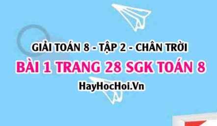 Bài 1 trang 28 Toán 8 Tập 2 Chân trời sáng tạo